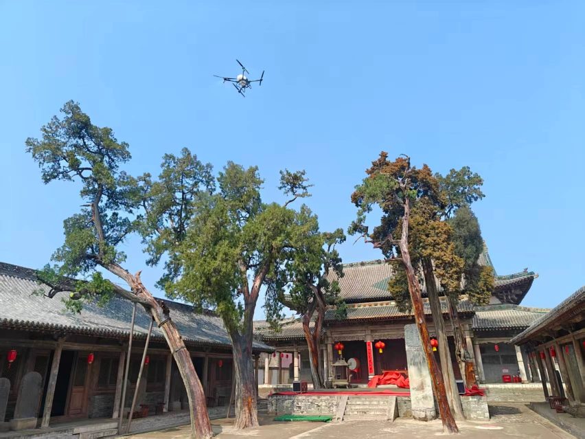襄汾县汾城文庙古柏无人机施药